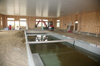 Pool set in ground